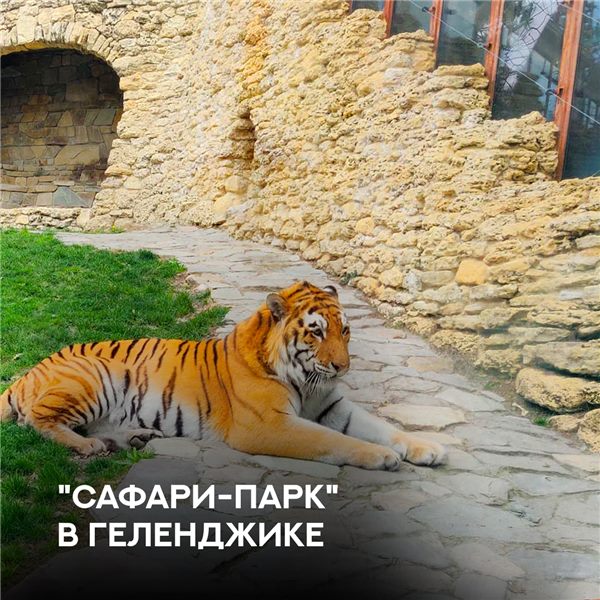 Экскурсии из Кабардинки по Черноморскому побережью — фото 12 — фото 12